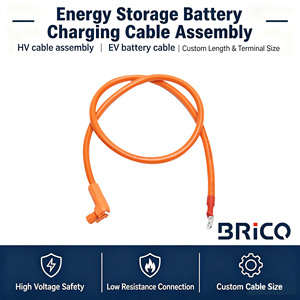 Cavo di ricarica <span class=keywords><strong>per</strong></span> batterie di accumulo energetico 120A/200A <span class=keywords><strong>per</strong></span> alimentazione mobile esterna - Product Image 1