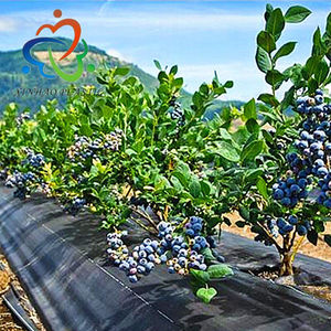 heavy duty Organic Orchard Weed Mat with Virgin Material Blueberry Farm Weed Cloth Apple Farm Weed Barrier