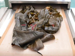 Secadora de Túnel por Microondas para Procesamiento de Alimentos con Control PLC Automático Flysun, Máquina de Esterilización y Secado con Cinta Transportadora para Frutos Secos 304 - Product Image 5