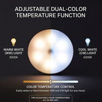 Mini lampe avec détecteur de mouvement automatique, lumière de nuit sans fil ronde, pour placard, mur, armoire, escalier, avec induction infrarouge, changement de couleur CW LED
