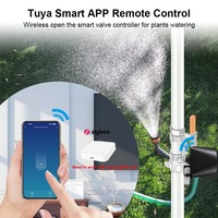 Pengontrol Katup Gas Cerdas Tuya Zigbee Premium, Kontrol Suara Hidup Mati Jarak Jauh, Katup Gas Pintar