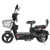 Vélo Électrique Moderne pour le Marché Européen 48V 350W-500W, 3 Vitesses, Cadre en Acier, Moteur Brushless, Frein à Tambour, Longue Autonomie, Moteur Moyeu Arrière, Batterie au Plomb