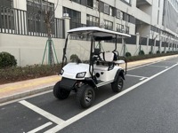 Voiturette de golf électrique tout-terrain 4x4 pour adultes, 4 places, homologuée route, avec fonction de levage, vente en gros
