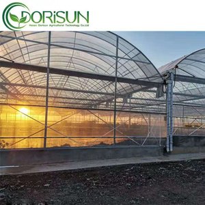 Película aislante tomates cherry tienda de sombra 2000 Sqm árbol vivero seta portátil coregated plástico invernadero - Product Image 6