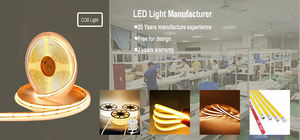 RAYMATES 480LEDs FCOB Tira de luces LED 6000K Blanco frío COB LED 24V CRI90 IP68 Modo de interruptor a prueba de agua WIFI 5V Entrada Blanco cálido 5M - Product Image 6