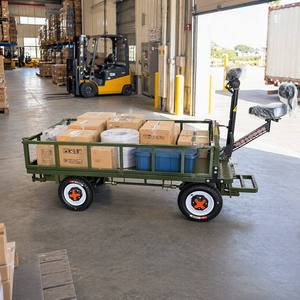 Carretilla Eléctrica de <span class=keywords><strong>Plataforma</strong></span> Plana con Motor Potente para Carga Pesada, con <span class=keywords><strong>Pedales</strong></span> para Conducir o Usar de Pie - Product Image 3