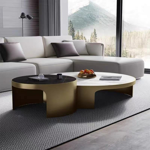 Ensemble de tables basses de luxe haut de gamme Haavk 2025 – Mobilier de salon moderne en acier inoxydable, écologique, durable et facile à nettoyer - Product Image 1