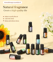 Huile Essentielle Végétale Naturelle Multi-Usages OEM, Parfum Lavande Gingembre Arbre à Thé Menthe Romarin Rose, Huile d'Aromathérapie Pure