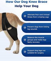 Attelle de genou universelle pour chien avec logo personnalisé, pour pattes avant et arrière, pour dysplasie de la hanche et luxation de la rotule