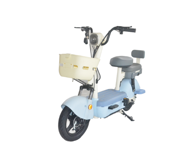 Hot Selling Powerful Electric Bicycles Electric Bike Fat Tire 3 Speed Electric Cycle