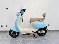 Vélo de montagne à batterie 1000W 60V 20AH, 50KM/H, cyclomoteur rétro urbain, écran LED, frein, longue autonomie, moteur sans balais en acier