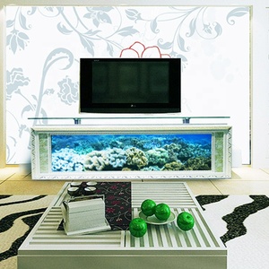 <span class=keywords><strong>Table</strong></span> <span class=keywords><strong>basse</strong></span> en verre de luxe sur mesure, meuble TV, <span class=keywords><strong>aquarium</strong></span> rectangulaire, réservoir à poissons, meubles de maison pour salon, <span class=keywords><strong>aquarium</strong></span> pour poissons rouges - Product Image 2