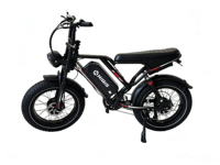 Vélo Électrique Tout-Terrain à Double Moteur et Pneus Larges 20'' avec Suspension Intégrale, Vente en Gros Usine, OEM ODM, Faible MOQ