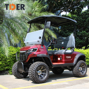 TDER Mini voiturette <span class=keywords><strong>de</strong></span> <span class=keywords><strong>golf</strong></span> électrique chinoise Batterie 48v 2 places voiturette <span class=keywords><strong>de</strong></span> <span class=keywords><strong>golf</strong></span> prix - Product Image 3