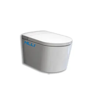 HLLI China Factory Ce Certificate Concealed Tank Ceramic Bathroom Colorful Matt White Smart Toilet