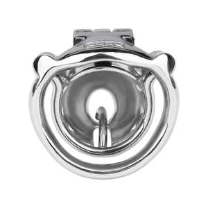2025 <strong>New</strong> Male Chastity Device Adjustable <strong>Cock</strong> <strong>Cage</strong> with Lock, Various Options for Fetish Bondage &amp; Control - Product Image 2
