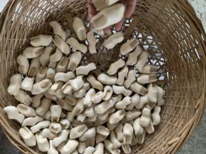 프로모션 선물 네덜란드 기념품 네덜란드 신발 키 체인 천연 나무 신발 키 체인 사용자 정의 로고 - Product Image 4