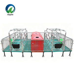 Equipo <span class=keywords><strong>de</strong></span> Paridera para Cerdas en Nueva Condición para la Cría y Producción <span class=keywords><strong>de</strong></span> Cerdos para la Ganadería - Product Image 3