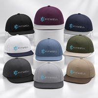Casquette à visière plate avec logo personnalisé, panneaux latéraux perforés, options de couleurs bicolores, OEM ODM pour les marques de streetwear et de designers
