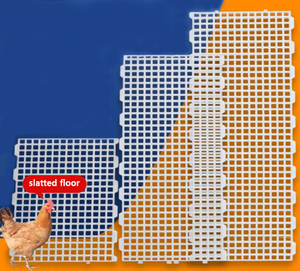 Revêtement <span class=keywords><strong>de</strong></span> sol en plastique pour poulets, canards et <span class=keywords><strong>oies</strong></span> - Product Image 2