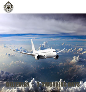 DHL Экспресс-сервис в ОАЭ с комплексным отслеживанием логистики - Product Image 6