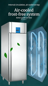 Congelador Vertical de Acero Inoxidable de Una Sola Temperatura, Gran Capacidad, Refrigerador Comercial para Cocina de Hotel, Congelador Vertical de Doble Puerta - Product Image 4