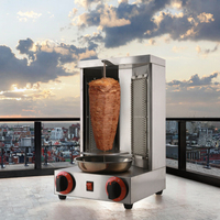 Machine Professionnelle Mini à Shawarma Commerciale d'Usine Électrique et Gaz, Kebab Doner Gyro Shawarma en Acier Inoxydable