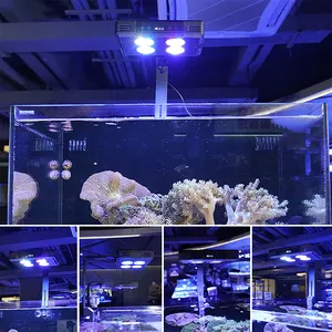 Lampu tangki ikan, lampu tangki santai dapat disesuaikan braket pemasangan 41w pencahayaan led celup akuarium berubah warna