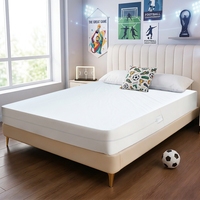 Housse de matelas imperméable en polyester avec fermeture éclair, respirante, de luxe, taille et couleur personnalisées, anti-acariens