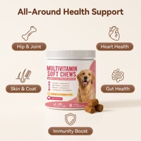 Compléments multivitaminés pour chiens OEM, comprimés à mâcher multivitaminés pour l'immunité avec glucosamine, oméga-3, probiotiques, pour la santé des articulations, de la peau, du pelage et de l'intestin