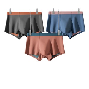 Boxers pour hommes en modal 100s, sans couture, tailles <span class=keywords><strong>L</strong></span>-4XL, entrejambe en soie, sous-vêtements premium en une seule pièce - Product Image 1