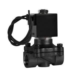 Válvula Solenoide de Agua COVNA para Pedidos Urgentes, DN15 1/2 Pulgadas, 2 Vías, AC/DC, Acero Inoxidable CF8M, para Agua, Aire, Vapor y Gas - Product Image 1