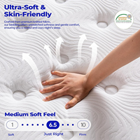 Matelas hybride COSTFULL de 10 pouces, fermeté moyenne, design moderne, utilisation pour lit d'école, soutien zoné multicouche, soutien lombaire supplémentaire, durable