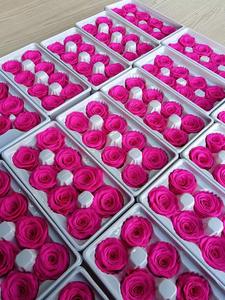 ดอกกุหลาบนิรันดร์ดอกกุหลาบธรรมชาติที่เก็บรักษาไว้สำหรับวันคริสต์มาสของขวัญวันแม่สำหรับวันวาเลนไทน์ - Product Image 2