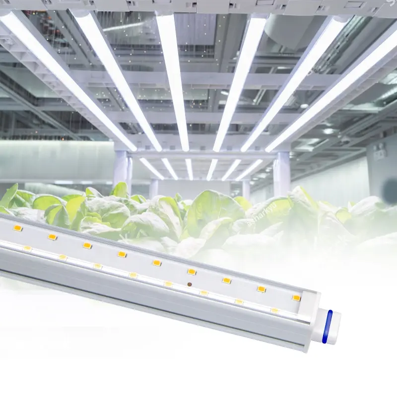 Led T5 phát triển đèn hẹn giờ phát triển ánh sáng quang phổ đầy đủ nhà máy chiếu sáng cho trong nhà hydroponics nhà máy