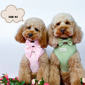 Arnés y Correa para Mascotas (Perros y Gatos) con Diseño de Corazón, de Alta Calidad, de Lujo, con Logotipo Personalizado, Sin Tirones - Product Image 5