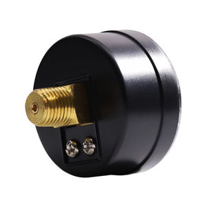 มาตรวัดความดันตัวกรองสระว่ายน้ำ1/4 "NPT หลังหรือต่ำเมาท์0-60 PSI กับ dial Setter - Product Image 5