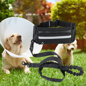 Laisse de <span class=keywords><strong>chien</strong></span> mains libres <span class=keywords><strong>avec</strong></span> <span class=keywords><strong>ceinture</strong></span> de taille et pochette porte-sac à déjections <span class=keywords><strong>pour</strong></span> la promenade et le jogging - Product Image 3