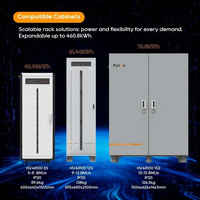 Batterie solaire LiFePO4 haute tension personnalisée Pytes 76,8 kWh, armoire ESS commerciale pour micro-réseau triphasé, fabricant