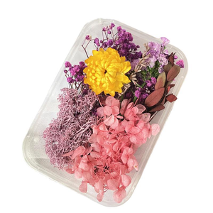 Flores Secas Decorativas al por Mayor, Flores Secas Naturales y Plantas Secas para Manualidades, Fabricación de Velas, Arte en Resina, Fotografía - Product Image 6