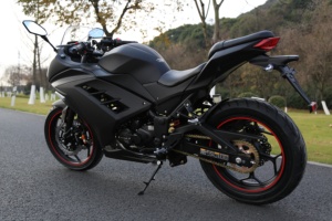 <span class=keywords><strong>Moto</strong></span> Sportive 200cc pour Adultes, Moteur à Essence de Course - Product Image 3
