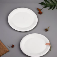 Assiettes en papier jetables compostables durables 10 pouces, lot de 50