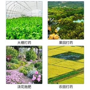 고압 수동 배낭 분무기 내구성 높은 생산성 플라스틱 핸드 분무기 농지 과수원용 두꺼운 재질 사용 - Product Image 6