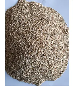 Premium Quality Natural Whitish Sesame-Wellega Ethiopia