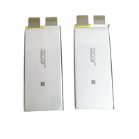 Cellule de batterie au lithium solide sans anode 450Wh/kg 22Ah 25Ah 30Ah 46Ah 52Ah, cellule de batterie pour drone à très haute densité énergétique