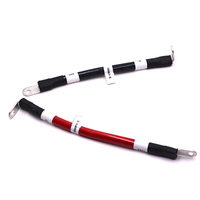 Maßgefertigter 70mm² 200A Verzinnter Kupfer 220V Auto-Steckverbinder 241225-06 PVC-Isolierter Kabelbaum für Neue Energie-Batterien