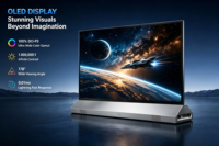 Paneles de Pantalla OLED Transparentes a Todo Color de Alta Transparencia para Tiendas Minoristas, Aeropuertos, Centros Comerciales, Pantallas Publicitarias, OEM SDK