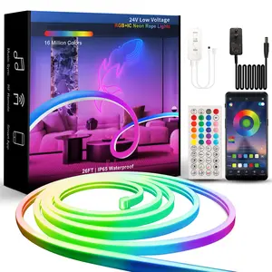 Feican IP67 Waterproof RGB IC Addressable Remote Smart Wifi Control LED Neon Flex Rope Strip Lights