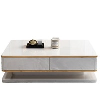 Meuble TV en contreplaqué, design moderne, hôtel de luxe Meuble TV en or noir avec table basse