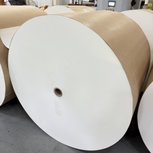 Rouleau de papier vierge en pâte de bois enduit de PE, imperméable, matière première pour la fabrication de gobelets en papier - Product Image 2